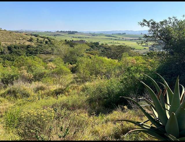 LAND FOR SALE IN ZINI RIVER ESTATE